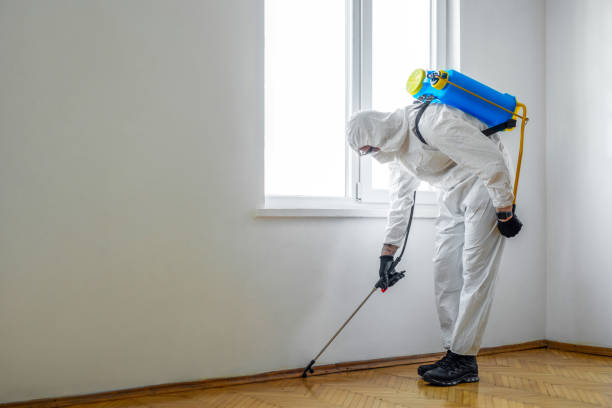 Professional Pest Control in Buckhannon, WV